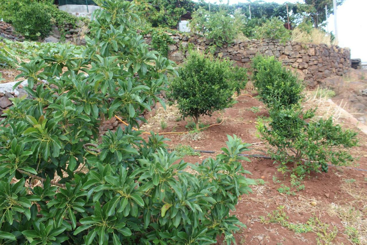 Vivenda Da Natureza Σάντα Κρουζ Εξωτερικό φωτογραφία